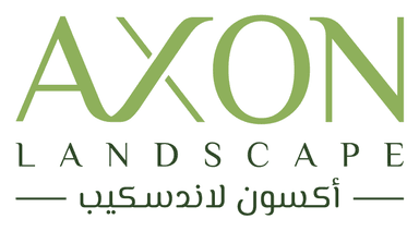 Axon Landscape